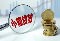 深圳23哪里可以小额贷款-深圳23哪里有民间借贷-深圳23民间短期私借借款